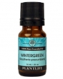 Wintergreen Essential Oil (100% Pure and Natural, Therapeutic Grade) 10 ml