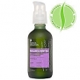 Body Care / Beauty Care Pangea Organics Massage & Body Oil, Pyrenees Lavender With Cardamom, 4-Ounce Box Bodycare / BeautyCare